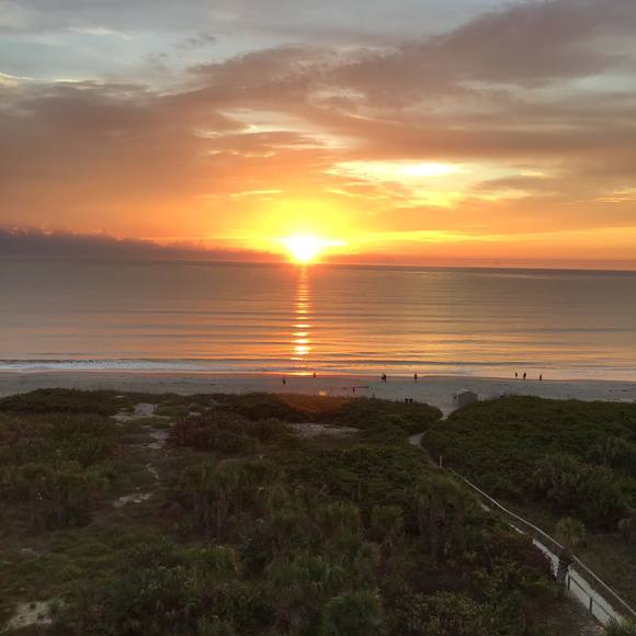 Meet your Posher, Roberta - Picture 1 of 1